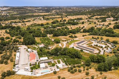 Gandum x Provenance photo at Provenance EM537 Apartado 125, 7050-999 Montemor-o-Novo, Portugal, Portugal