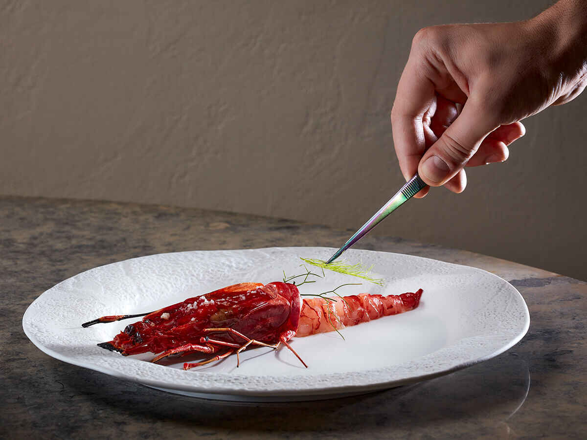 Coral - Éden do Mar photo at Vilalara Thalassa Resort, Alporchinhos, 8400-450 Porches, Portugal, Portugal