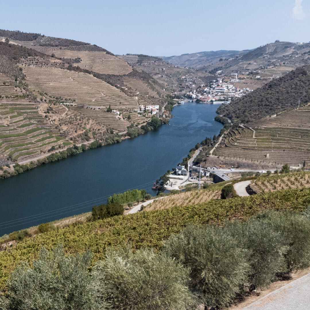 Seixo By VCS photo at Q.ta do Seixo, 5120-495 Tabuaço, Portugal, Portugal