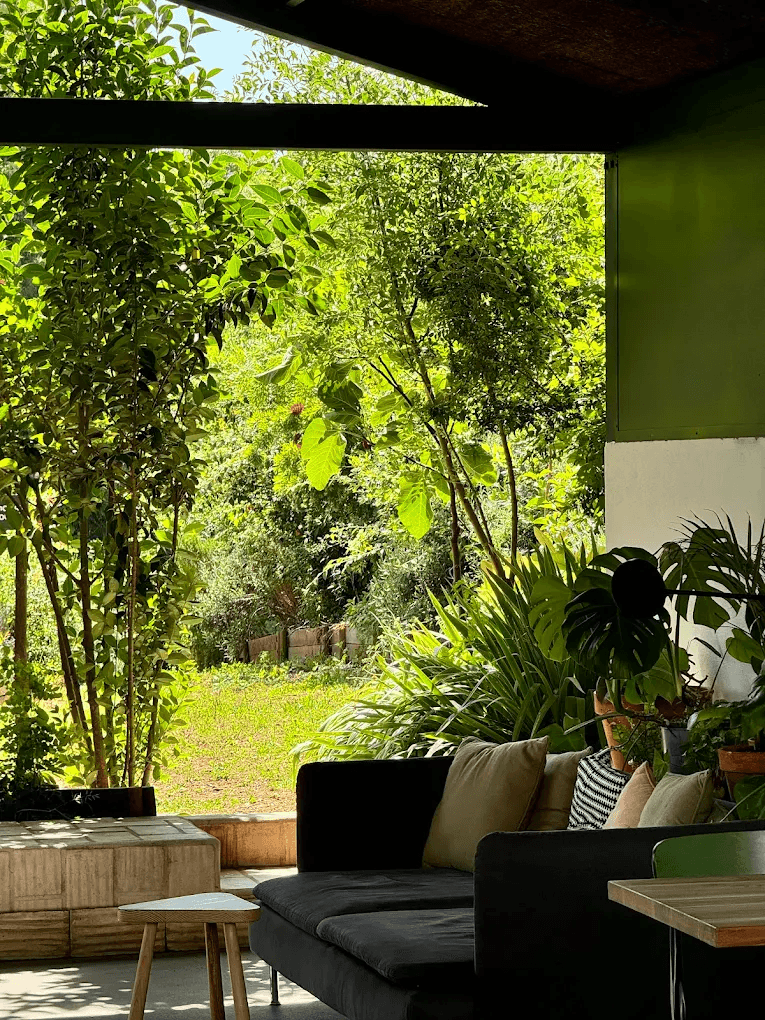 Gandum x Provenance photo at Provenance EM537 Apartado 125, 7050-999 Montemor-o-Novo, Portugal, Portugal