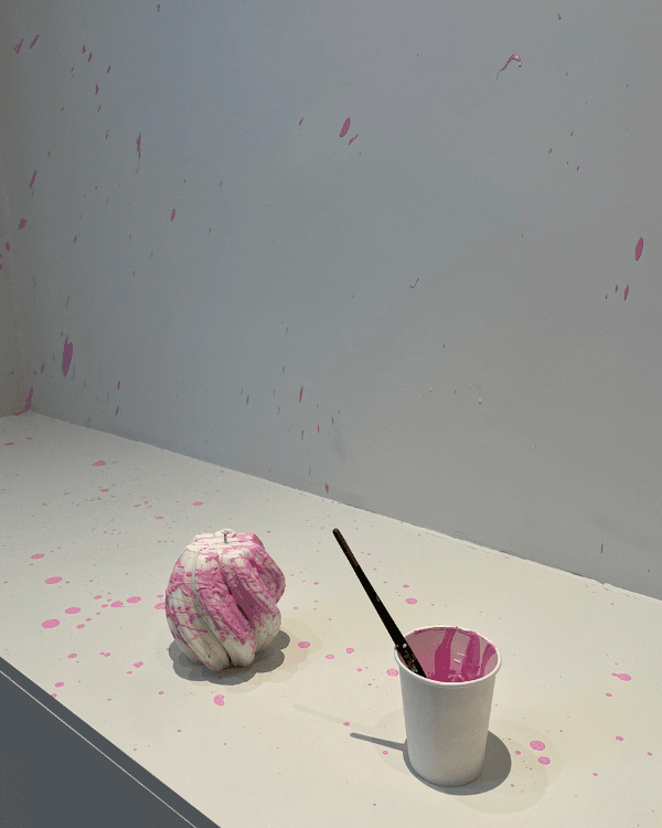 Candle Studio