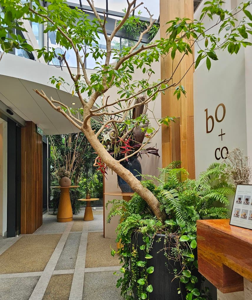 Botanica+Co Bamboo Hills photo at P-09, Taman Bukit Bambu Off, Lebuhraya Duta - Ulu Kelang, Taman Bamboo, , Wilayah Persekutuan, Kuala Lumpur