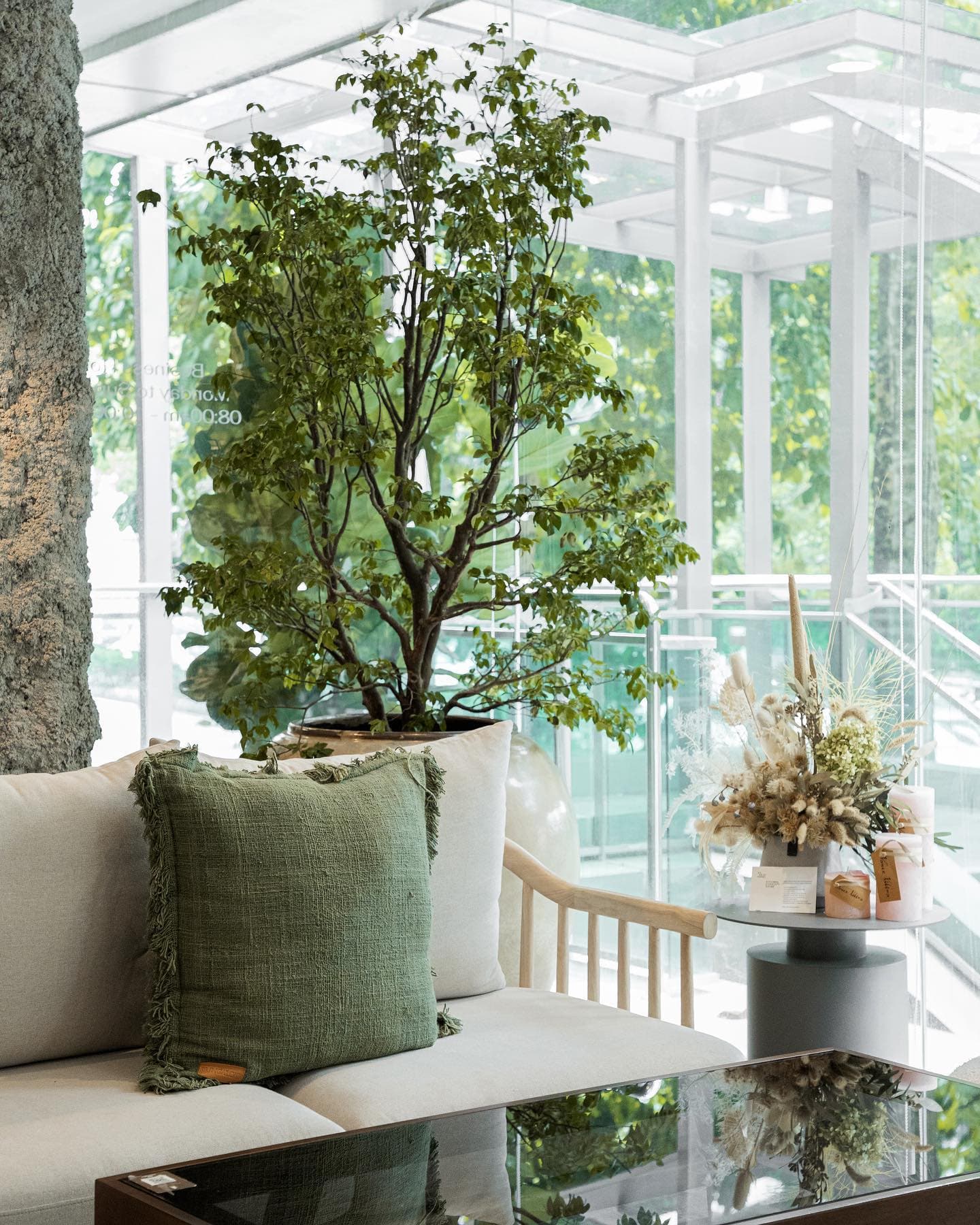 Momaku X Baristart Coffee Malaysia photo at G 133A Ground Floor Bangsar Shopping center, Kuala Lumpur