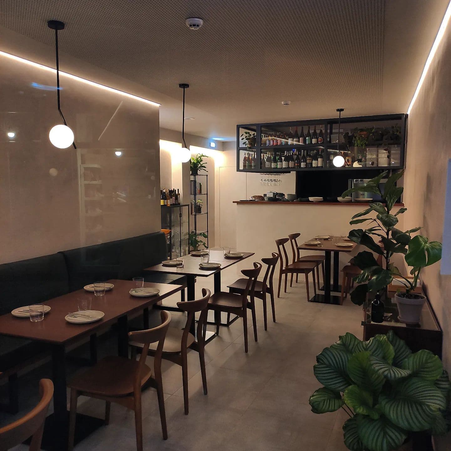 Flora (Food & Wine) photo at R. Grão Vasco 21, 3500-138 Viseu, Portugal, Portugal