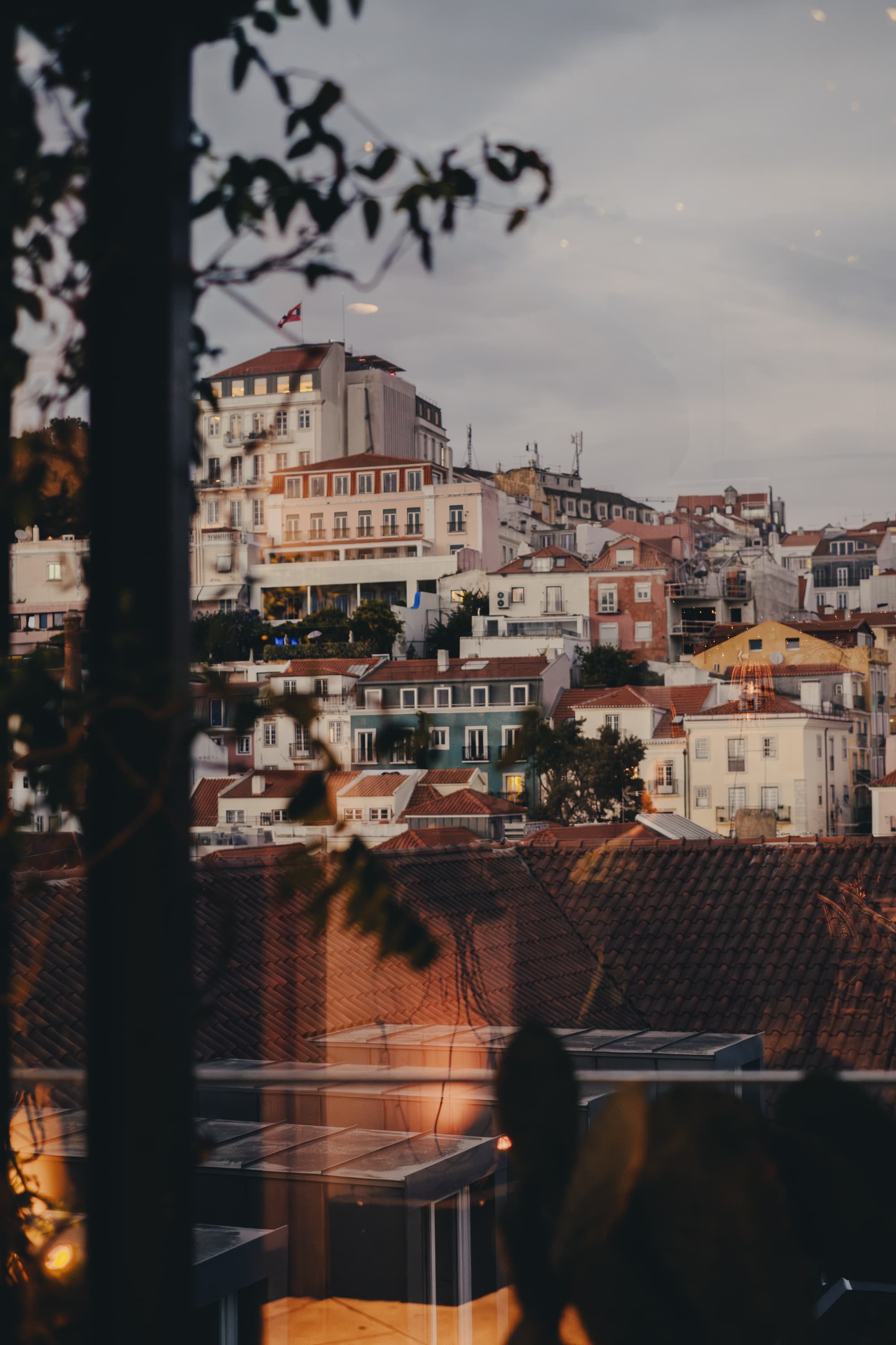 Javá, Lisbon - Restaurant Menu, Prices & Reviews